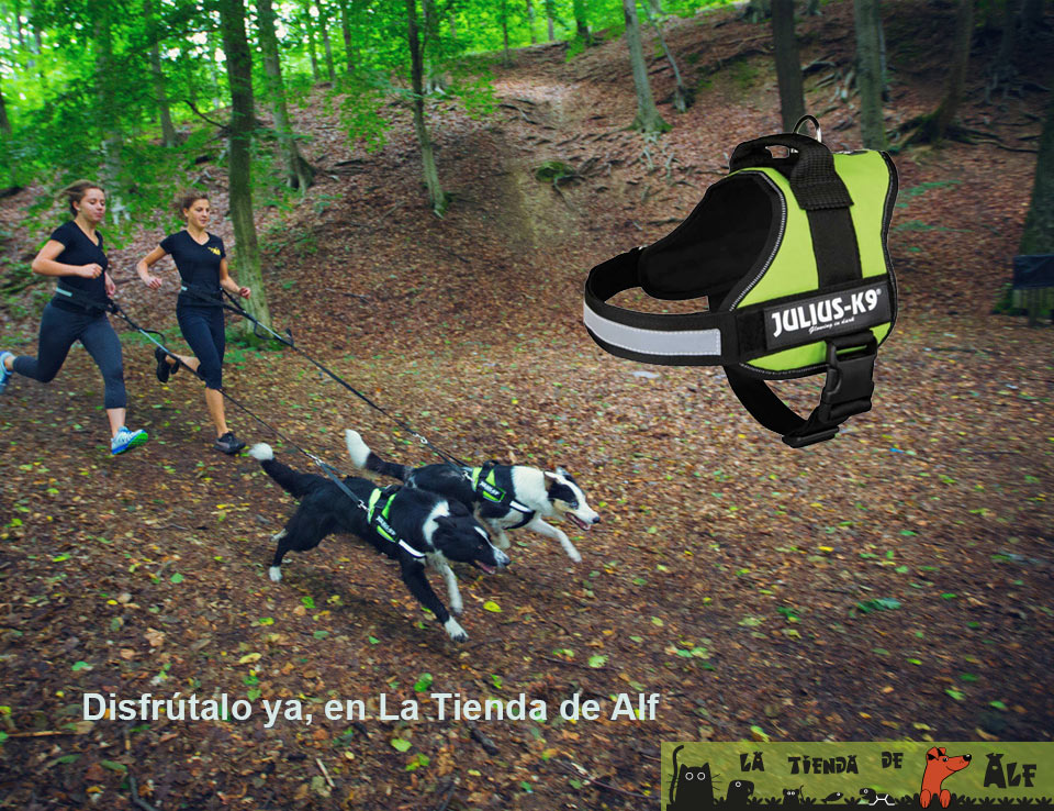 Promo La Tienda de Alf