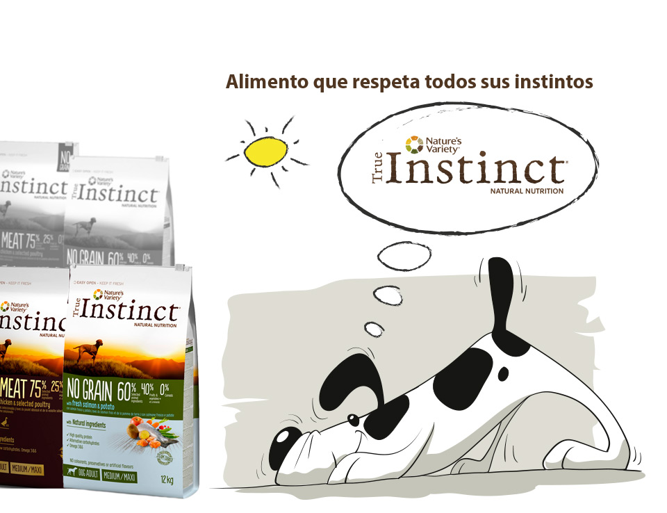 Promo La Tienda de Alf